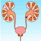 Kidney Stones in Children / Renal Stones in Children