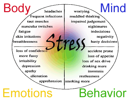 Acupuncture For Stress And Anxiety