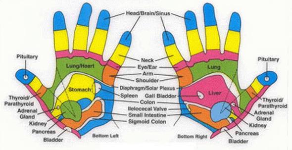 HAND REFLEXOLOGY