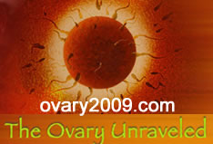 ovary2009