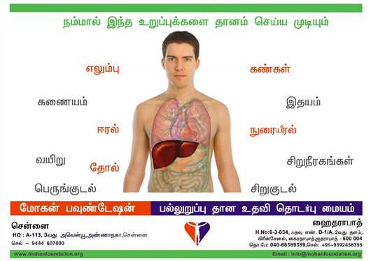 Poster of Organs that can be donated 
